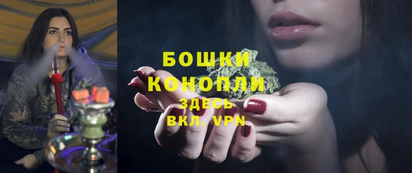 шишки Гусь-Хрустальный