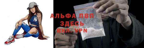 гидропоника Горняк