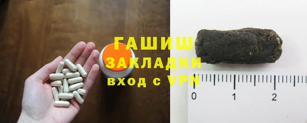 ПСИЛОЦИБИНОВЫЕ ГРИБЫ Вяземский