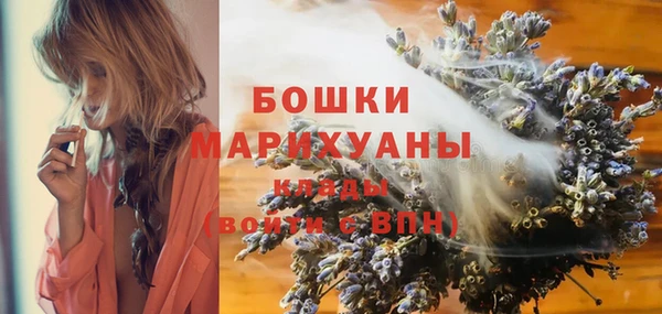 шишки Гусь-Хрустальный
