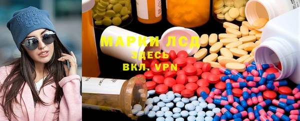 ПСИЛОЦИБИНОВЫЕ ГРИБЫ Вяземский
