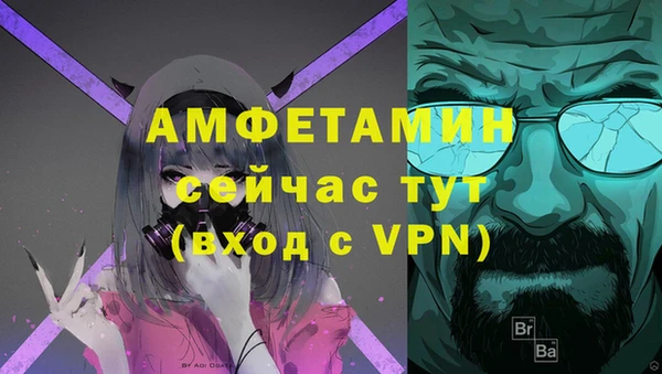 шишки Гусь-Хрустальный
