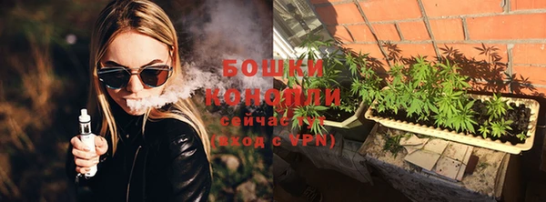 ПСИЛОЦИБИНОВЫЕ ГРИБЫ Вяземский
