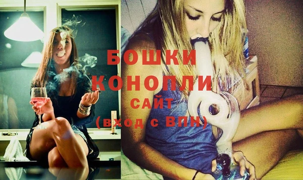 ПСИЛОЦИБИНОВЫЕ ГРИБЫ Вяземский