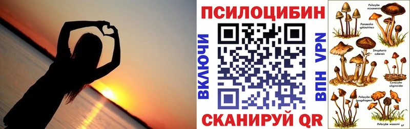 Псилоцибиновые грибы прущие грибы  Добрянка 